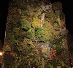 Náhled fotky 12M_0285.JPG