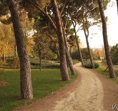 Náhled fotky 12M_1300.JPG