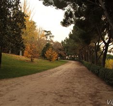 Náhled fotky 12M_1303.JPG