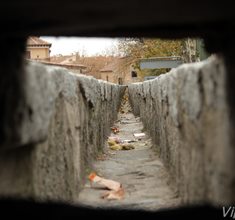 Náhled fotky 12M_1542.JPG