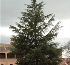 Náhled fotky 12M_1549.JPG