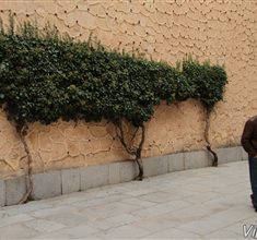 Náhled fotky 12M_1778.JPG