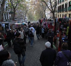 Náhled fotky 12M_1909.JPG