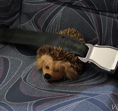 Náhled fotky 12M_1966.JPG