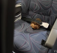 Náhled fotky 12M_1967.JPG